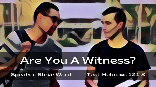 Are You A Witness